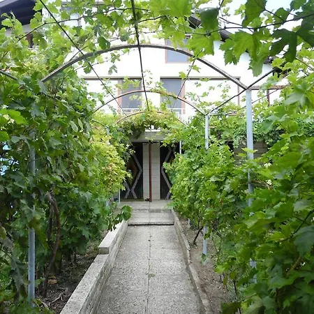 Retro - 19th Century