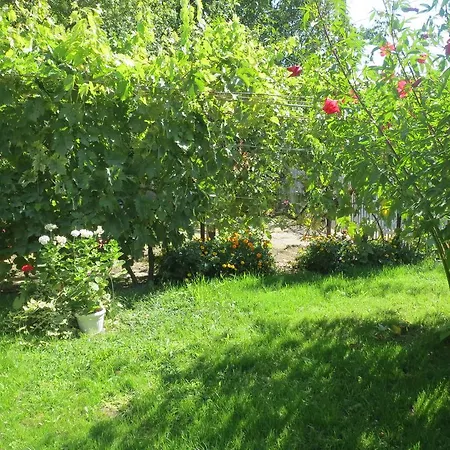 Retro - 19th Century Gæstehus