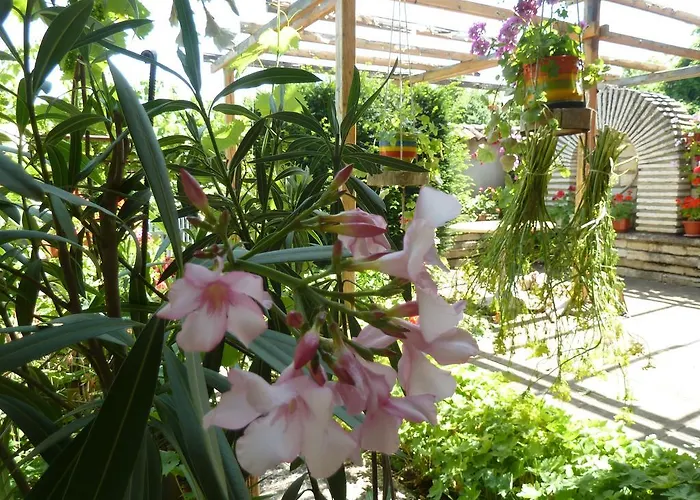 Maison d'hôtes Guest House Gerry 3*