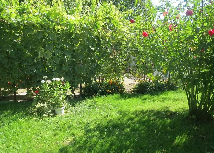 Guest House Gerry Maison d'hôtes