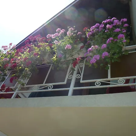 Guest house Retro - 19th Century