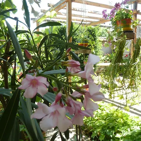 Gasthof Retro - 19th Century 3*