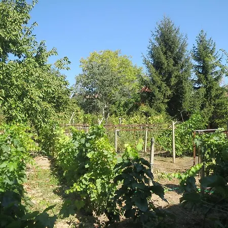 Retro - 19th Century